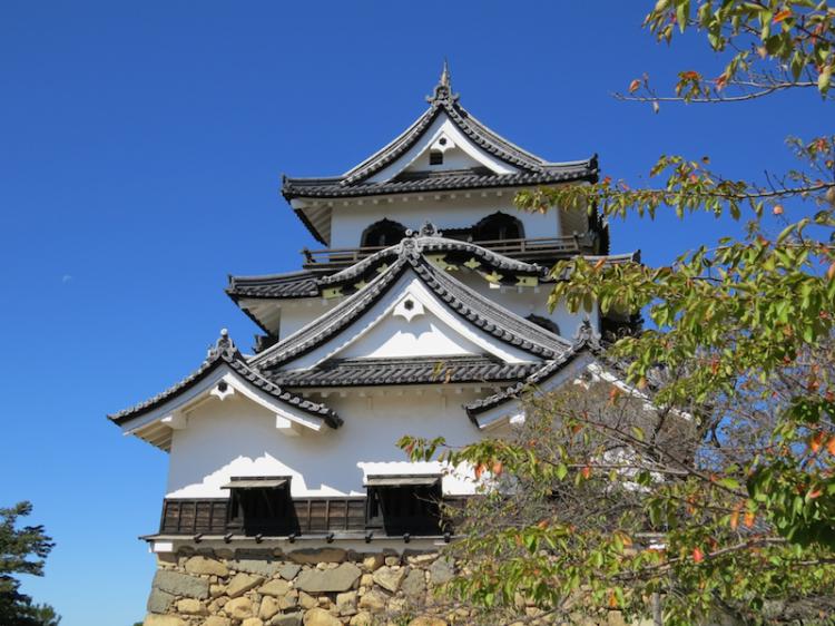 Hikone Castle Donjon designated as a National Treasure