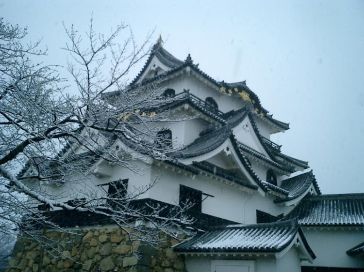 Hikone Castle Donjon in Winter