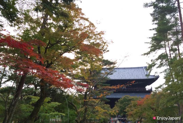 Autumn Leaves in Nanzzen-ji