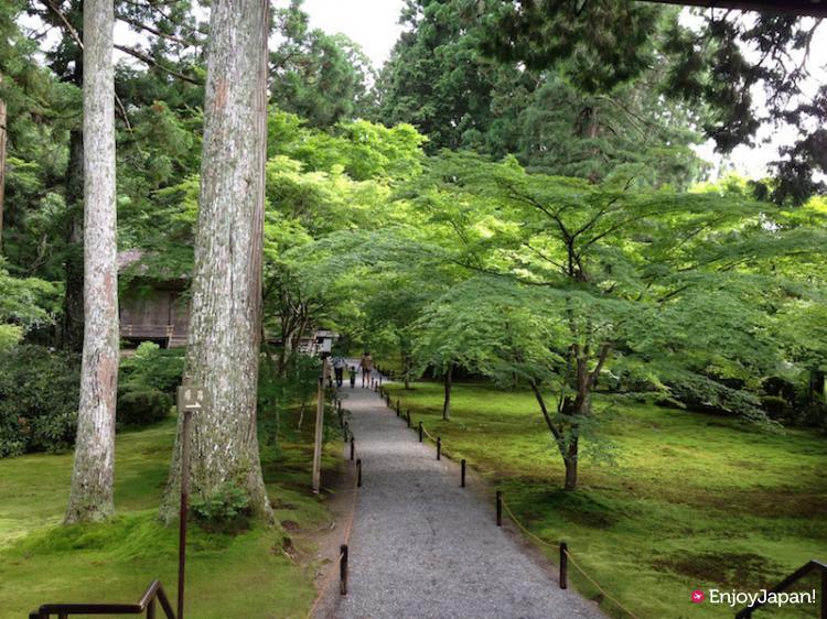 Sanzen-in's Japanese garden