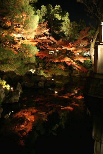 Night Illumination in Tenju-an