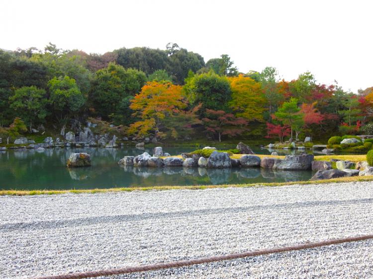 The MOMIJI in the garden is a must-see! World Heritage Site 